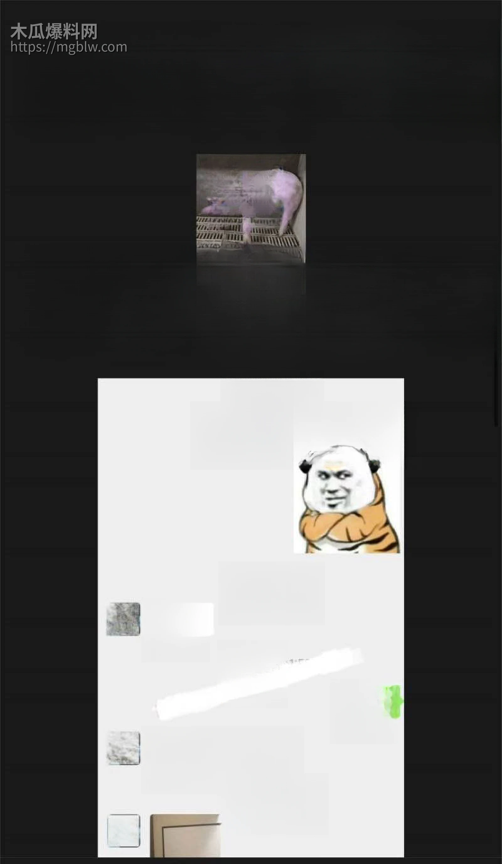 抖音400万粉网红艾瑞吧弟出轨女徒弟崩盘 19