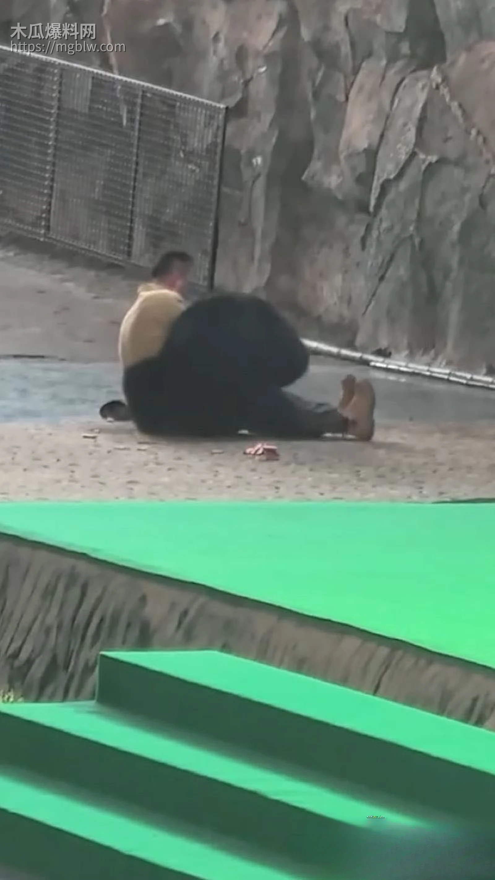 杭州野生动物园惊魂 2