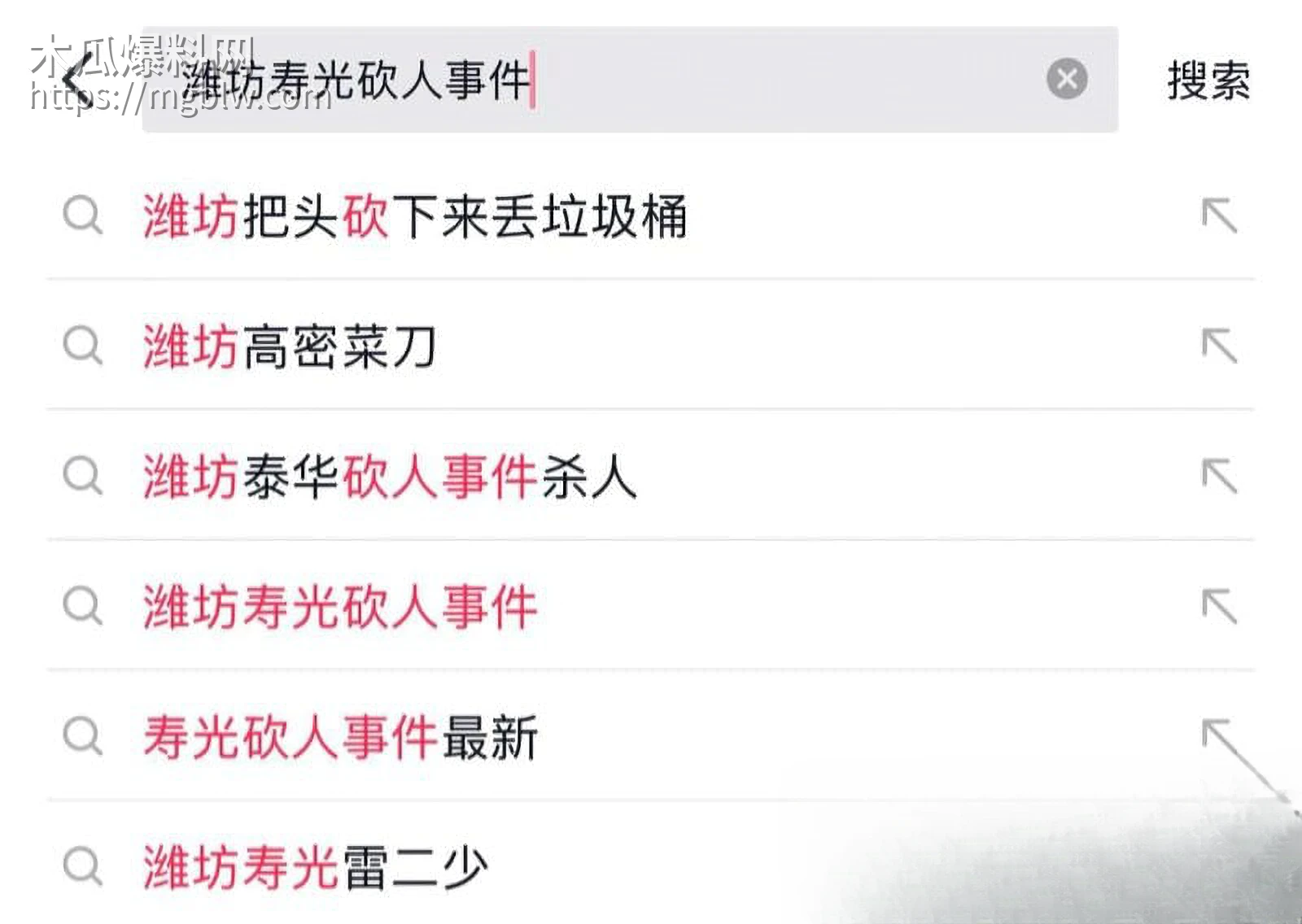 寿光金光街大桥持刀火拼血案 1