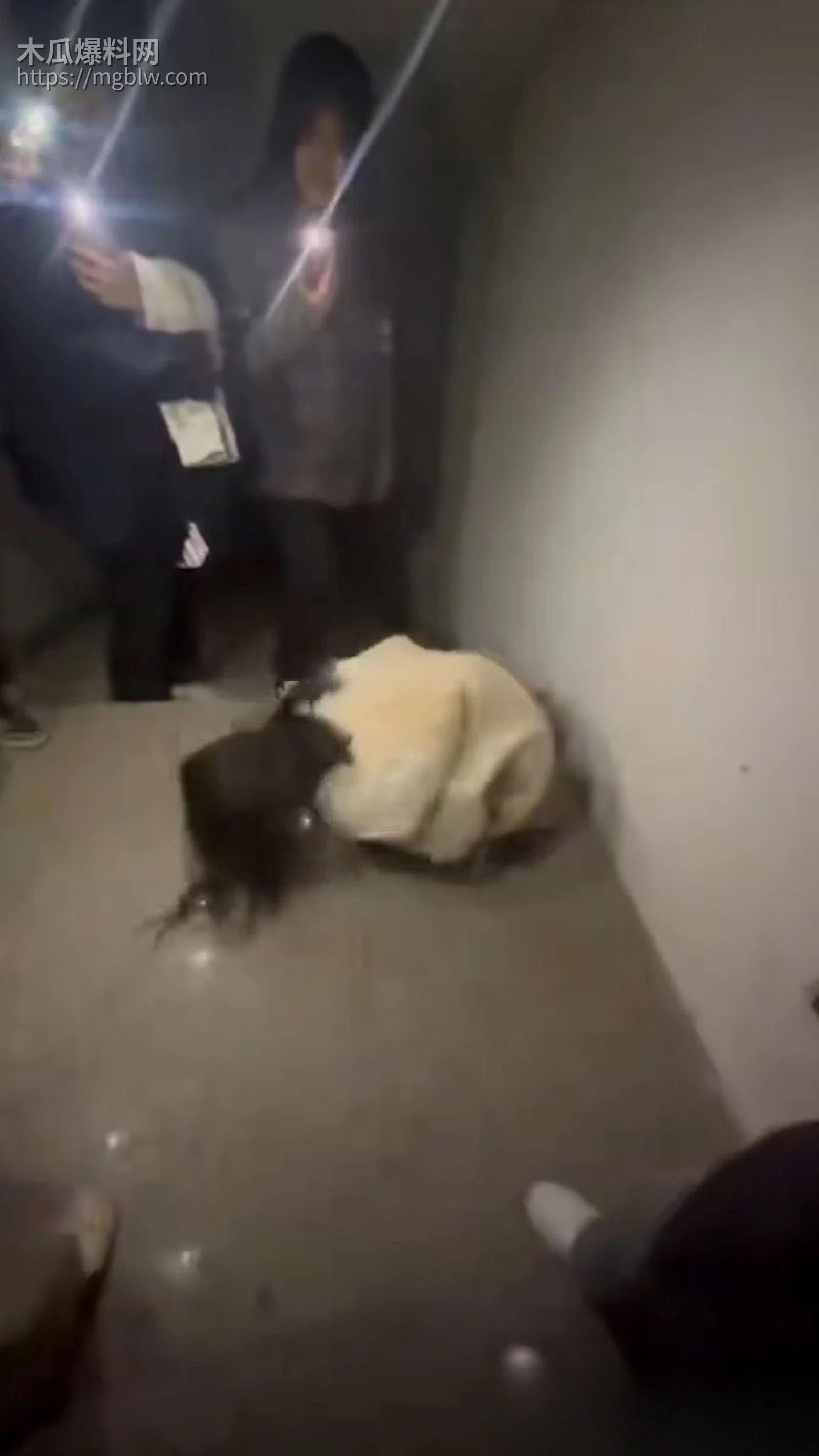 内蒙古五原县校园霸凌惨案曝光 7