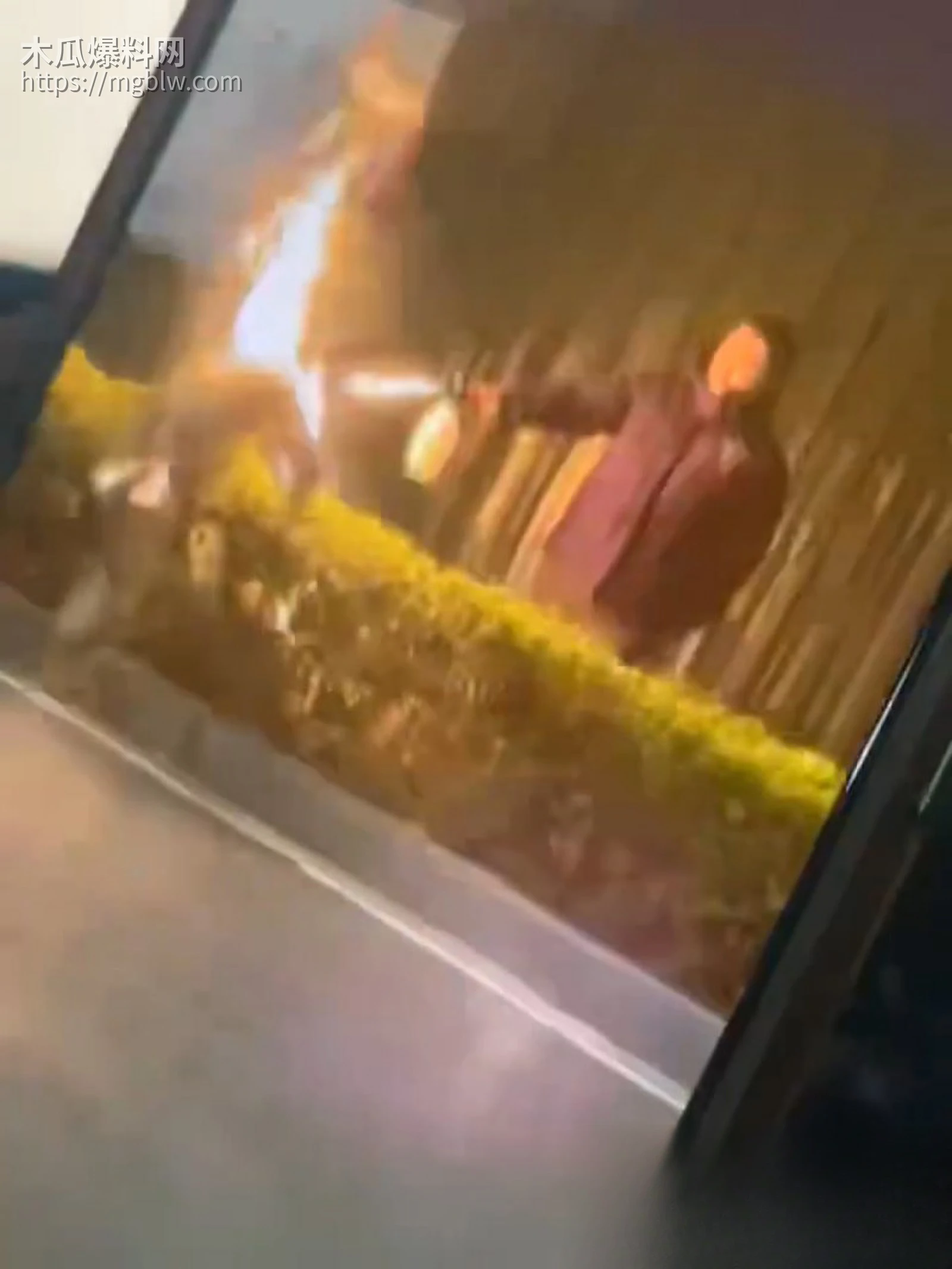 江苏扬州双塘路纵火烧奸夫淫妇案06