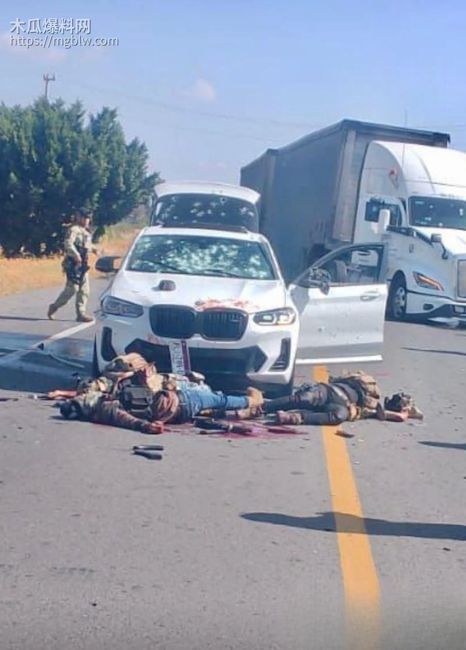 墨西哥头号毒枭门乔毙命 4