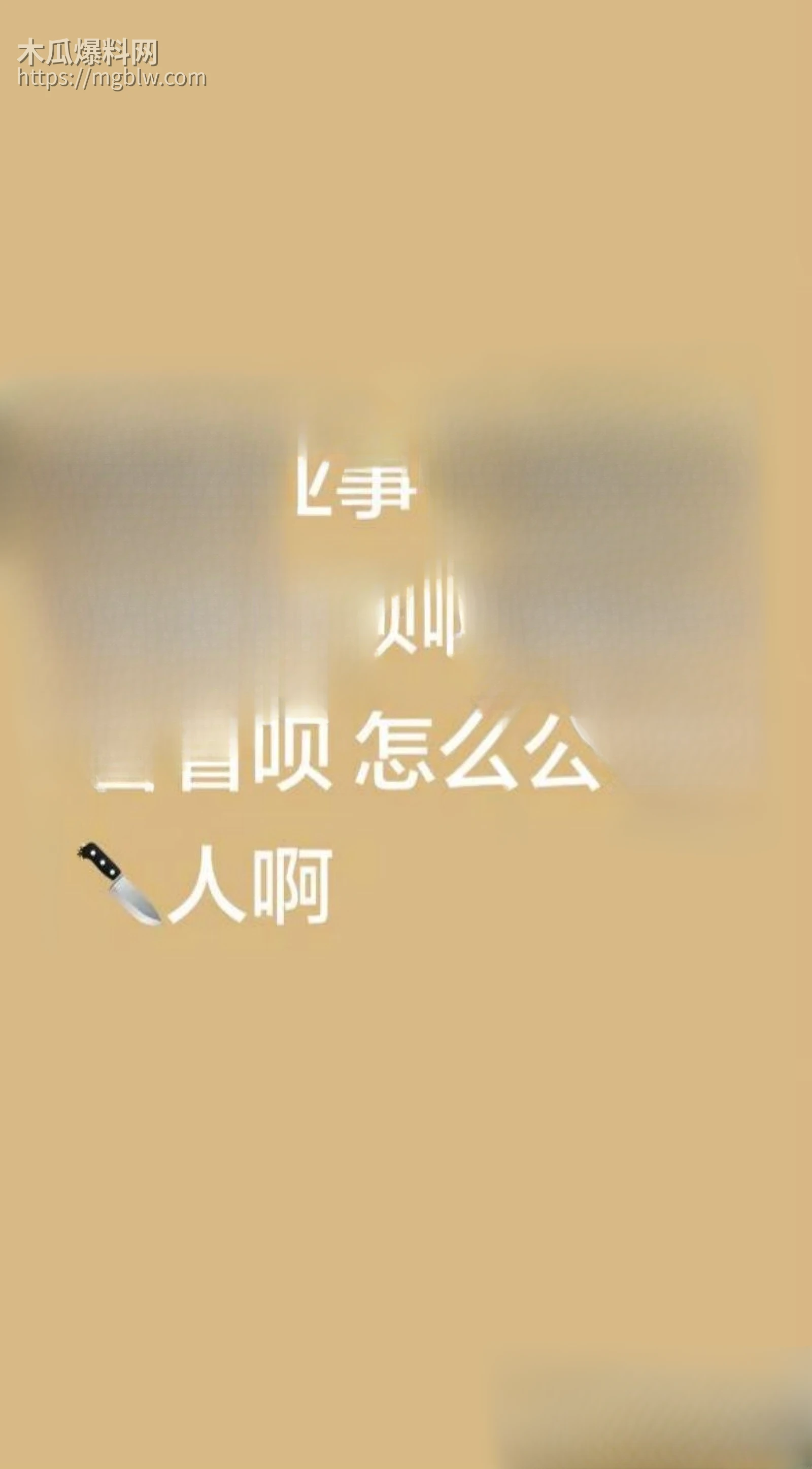 秦皇岛阿那亚斧头砍人事件03