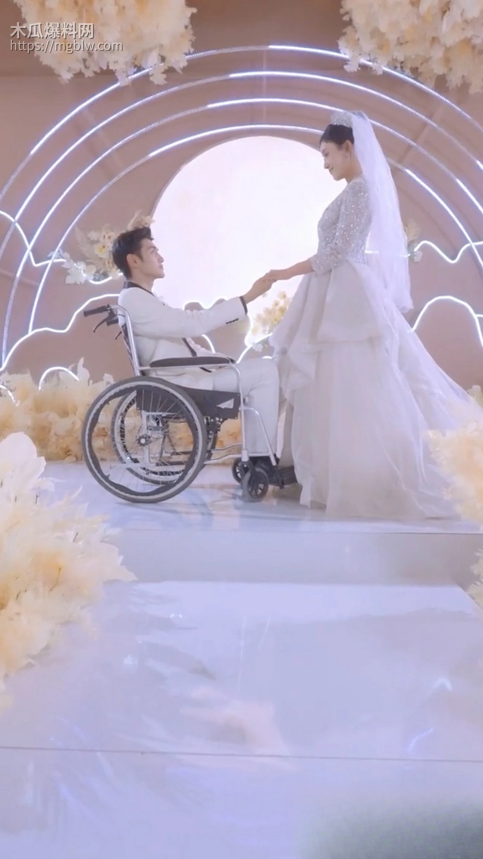 热播短剧迟暮等春来全集 2