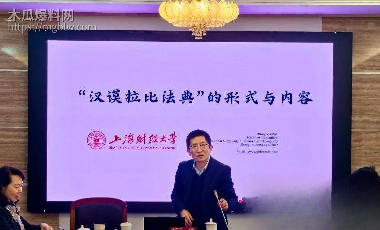 上海财大人文学院院长王献华婚内出轨实锤 8