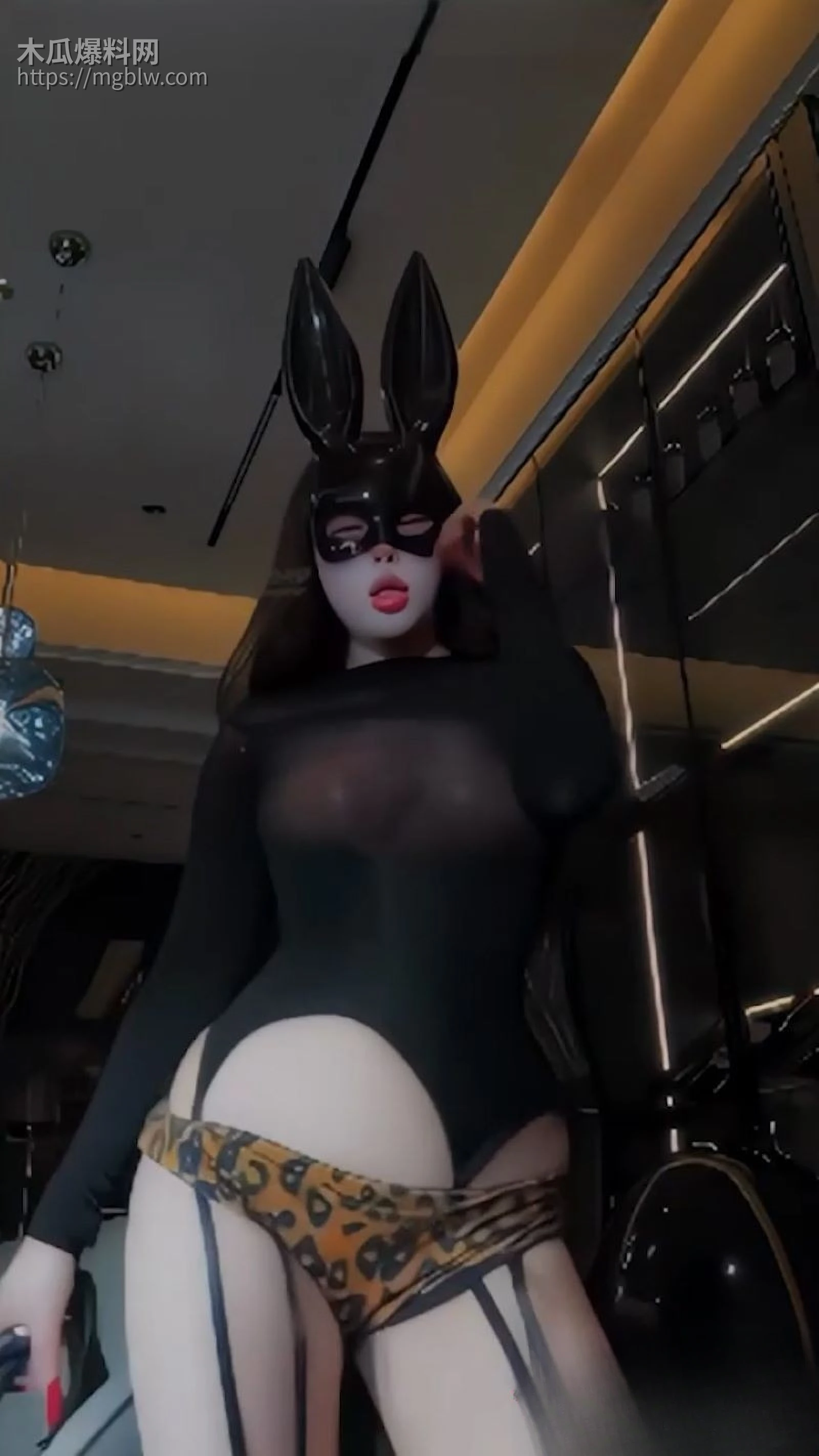 快手40万粉金酱酱穿情趣装扭腰摆臀 6