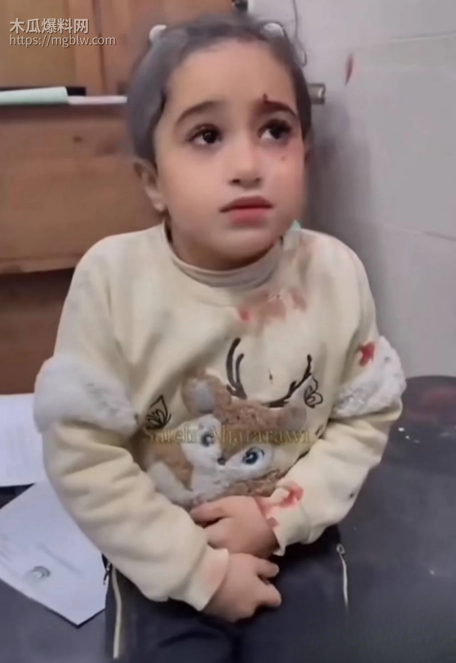 以伊冲突165名学生遇难015