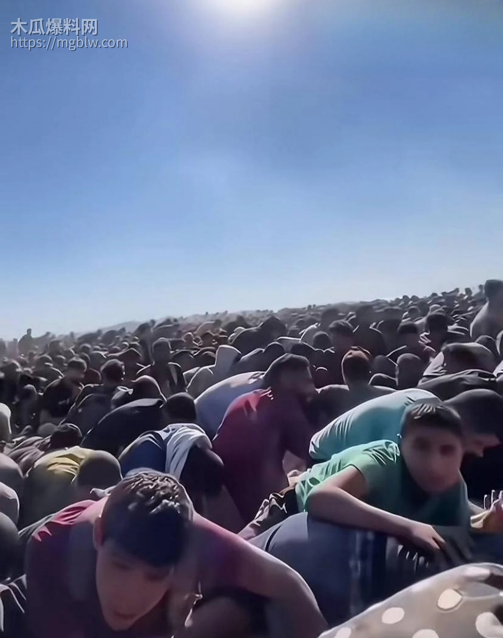 以伊冲突165名学生遇难029