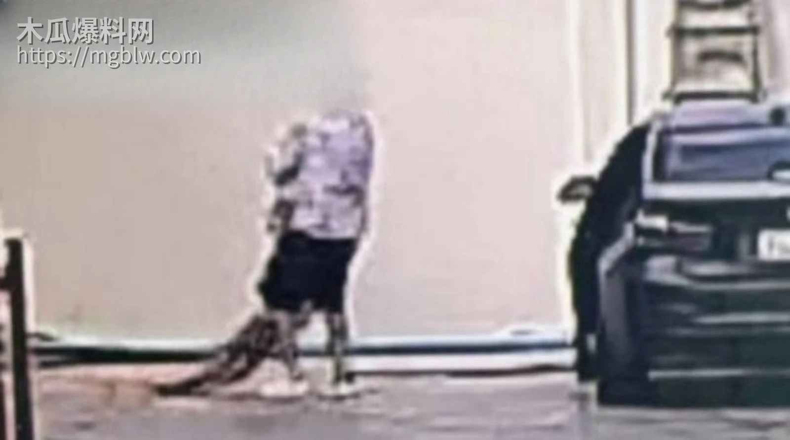 安徽女子泰国被杀害抛尸020