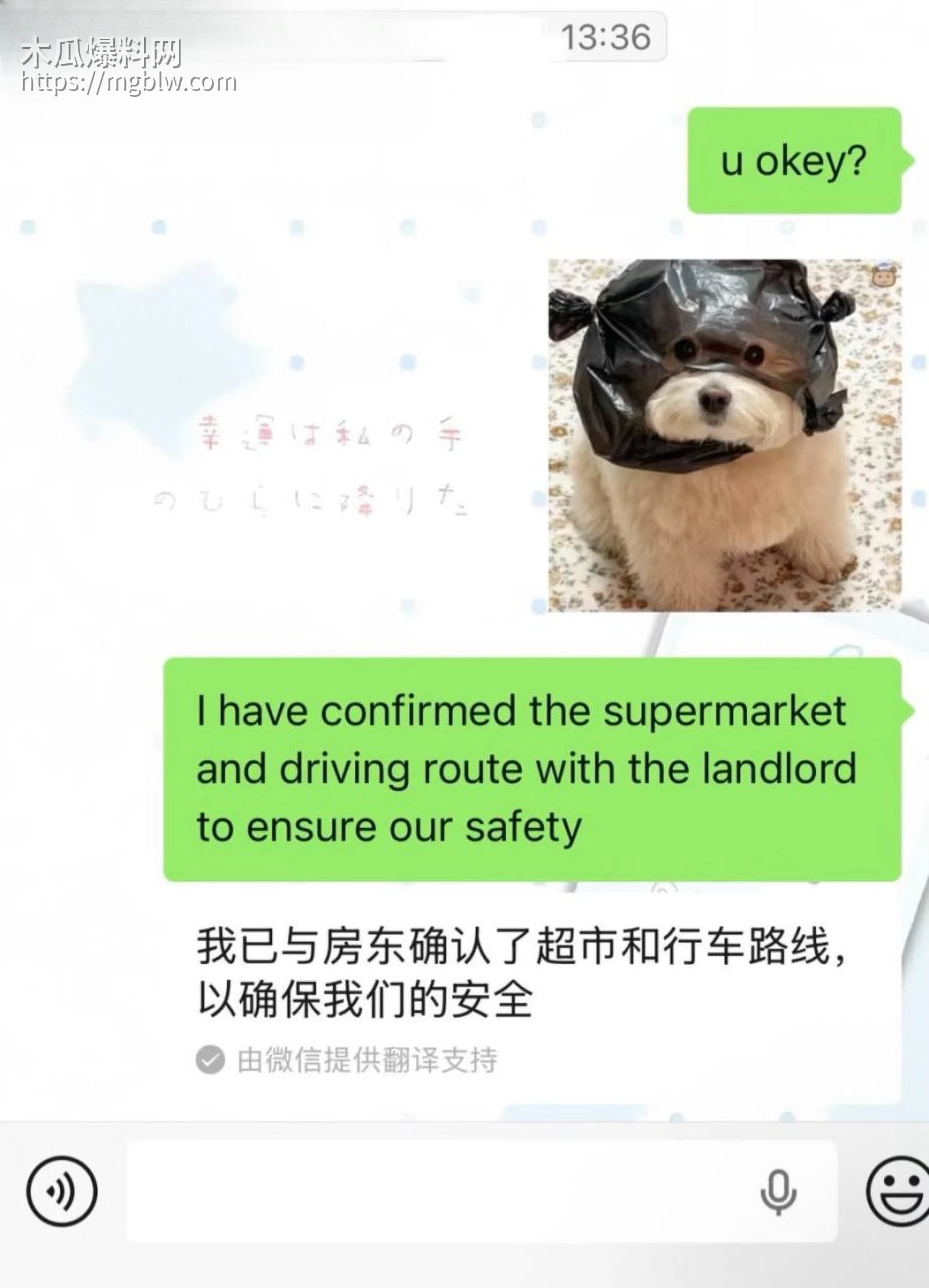 小红书浙江女留学生倒贴英国男045