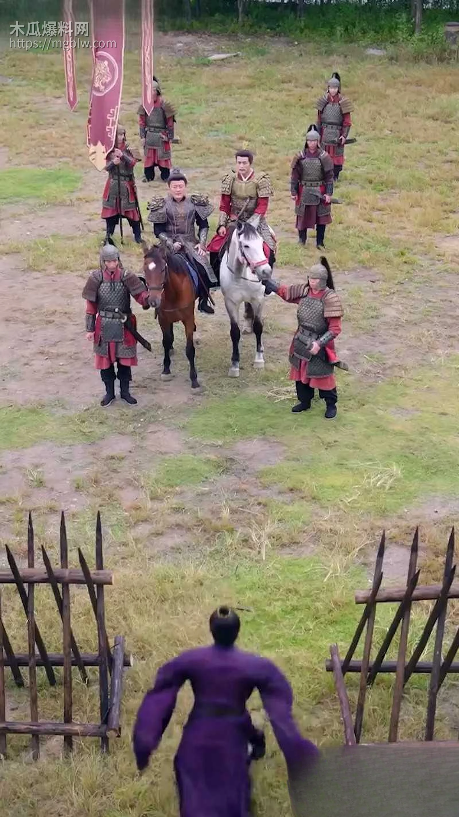 热播短剧御赐傻婿全集 8