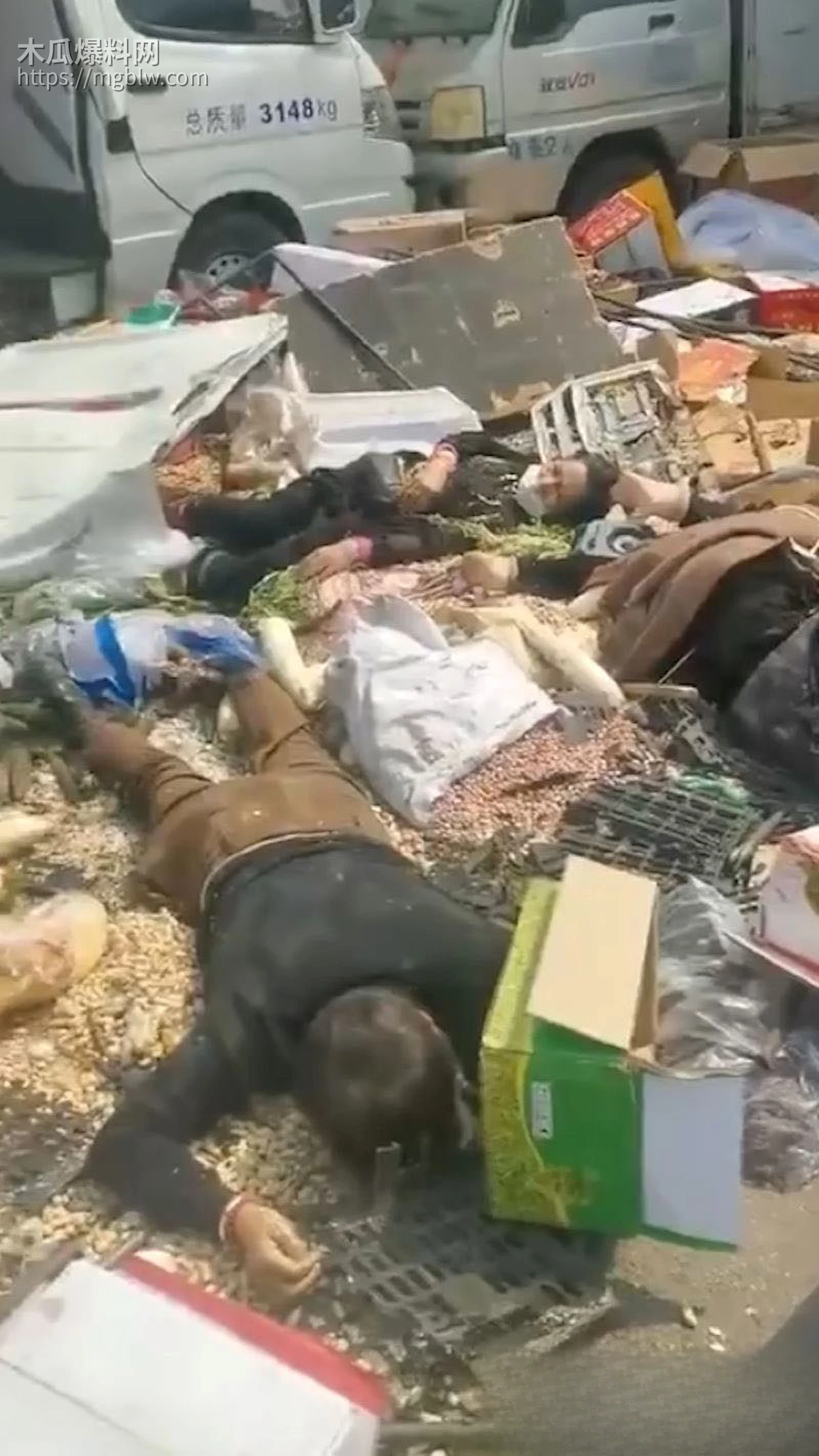 北京房山大集铲车撞人血案 4