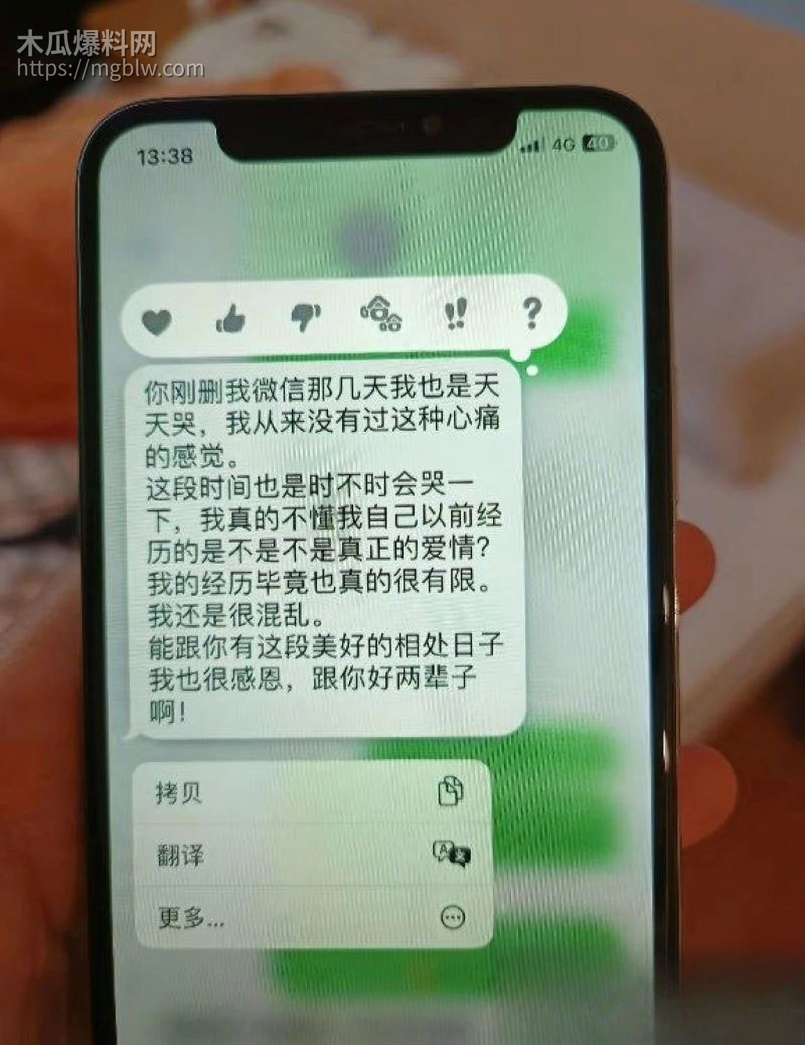 广东新华中学语文老师陈莉莉师生恋曝光 20