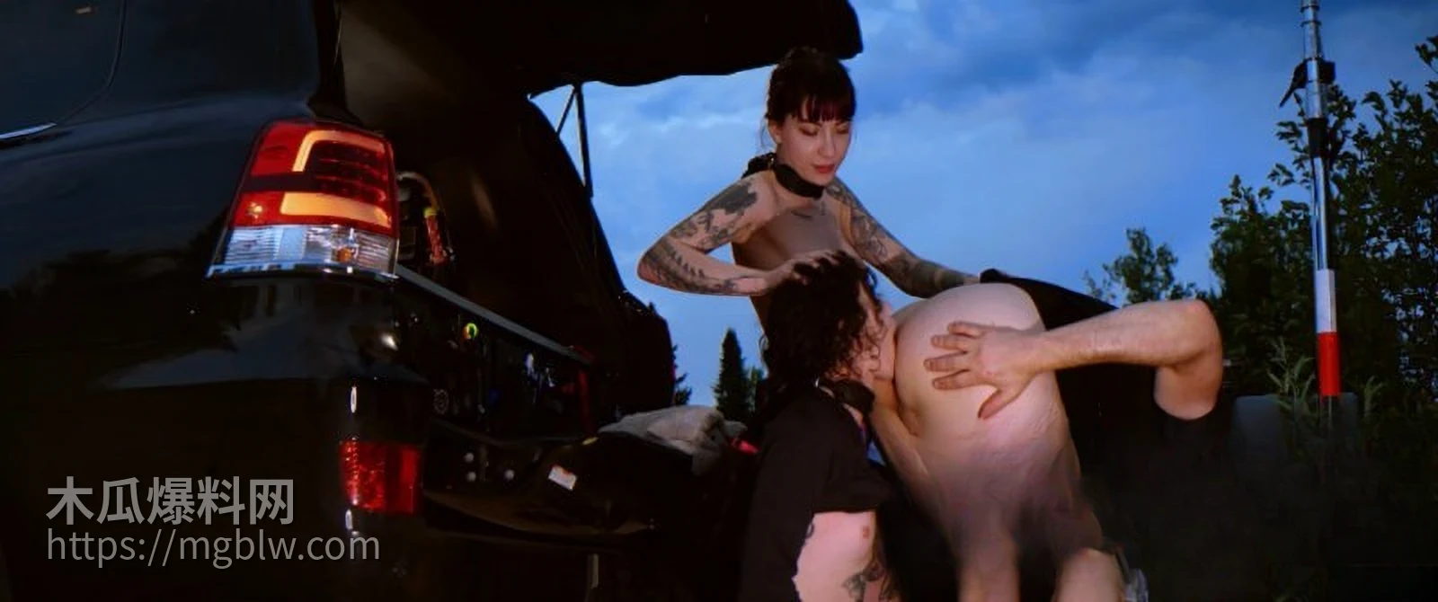 欧美情侣调教金发女奴  4watermarked