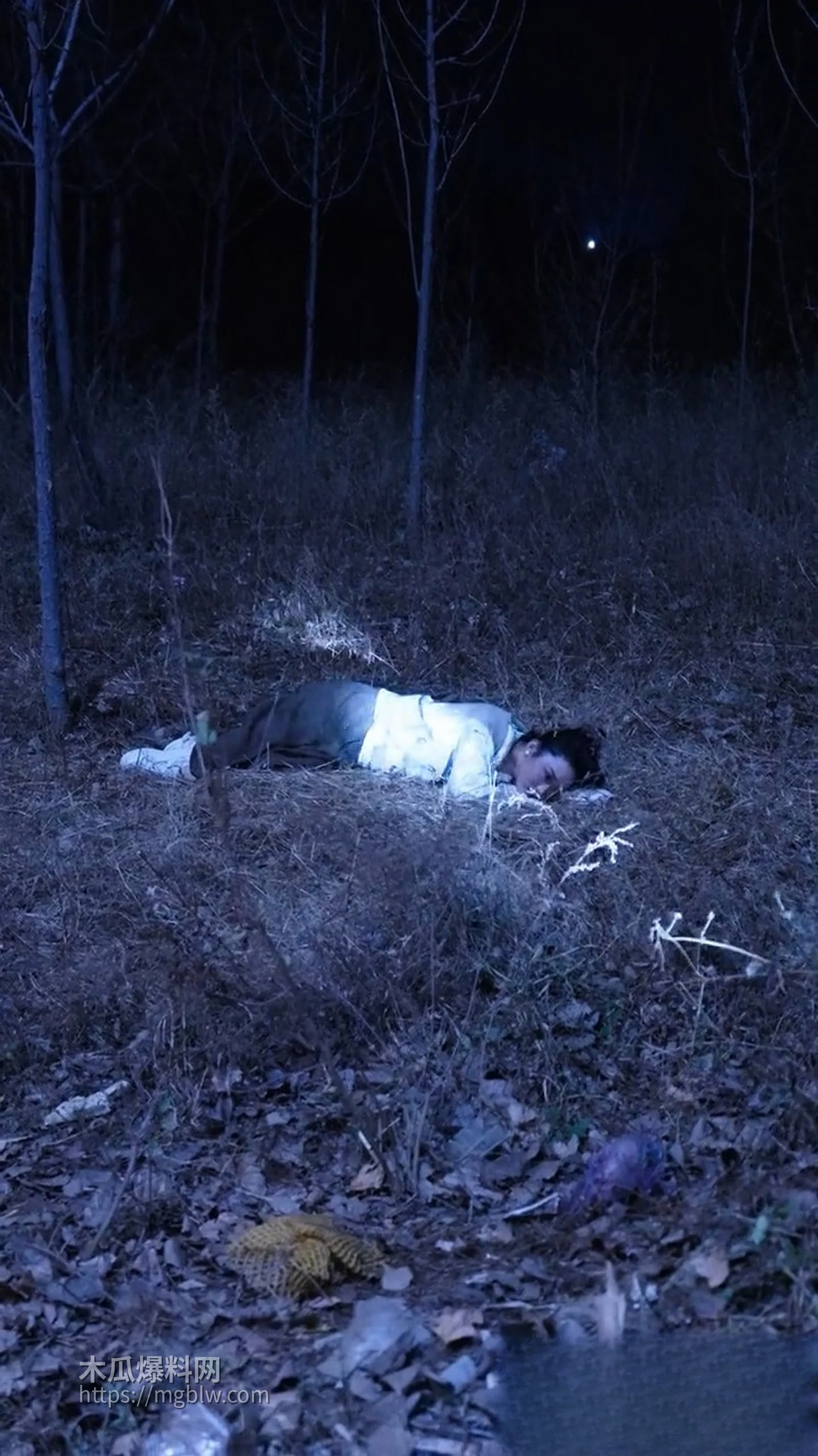 惊悚擦边短剧他的完美妻子全集 5