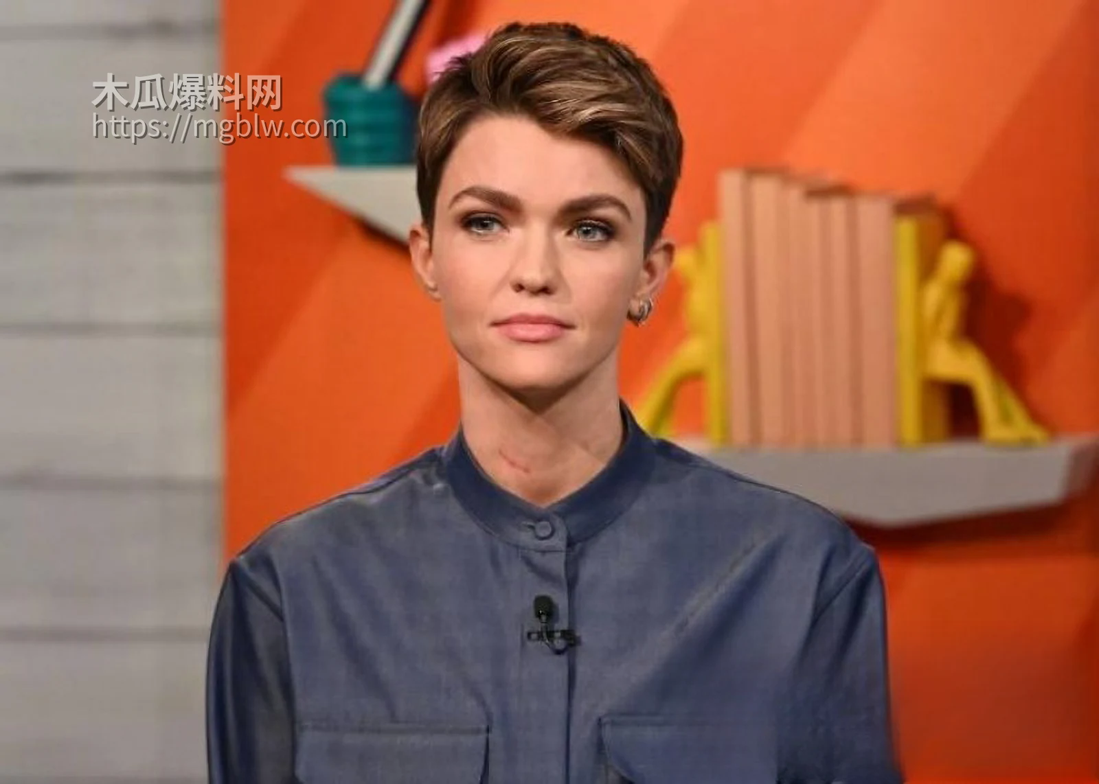 好莱坞女星鲁比罗丝被水果姐性侵事件011