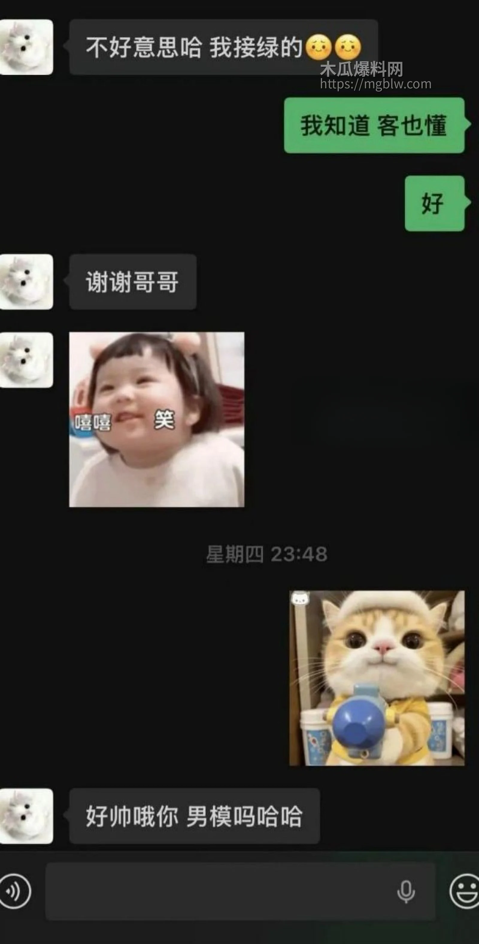 拜金模特阮阮下海卖逼视频029