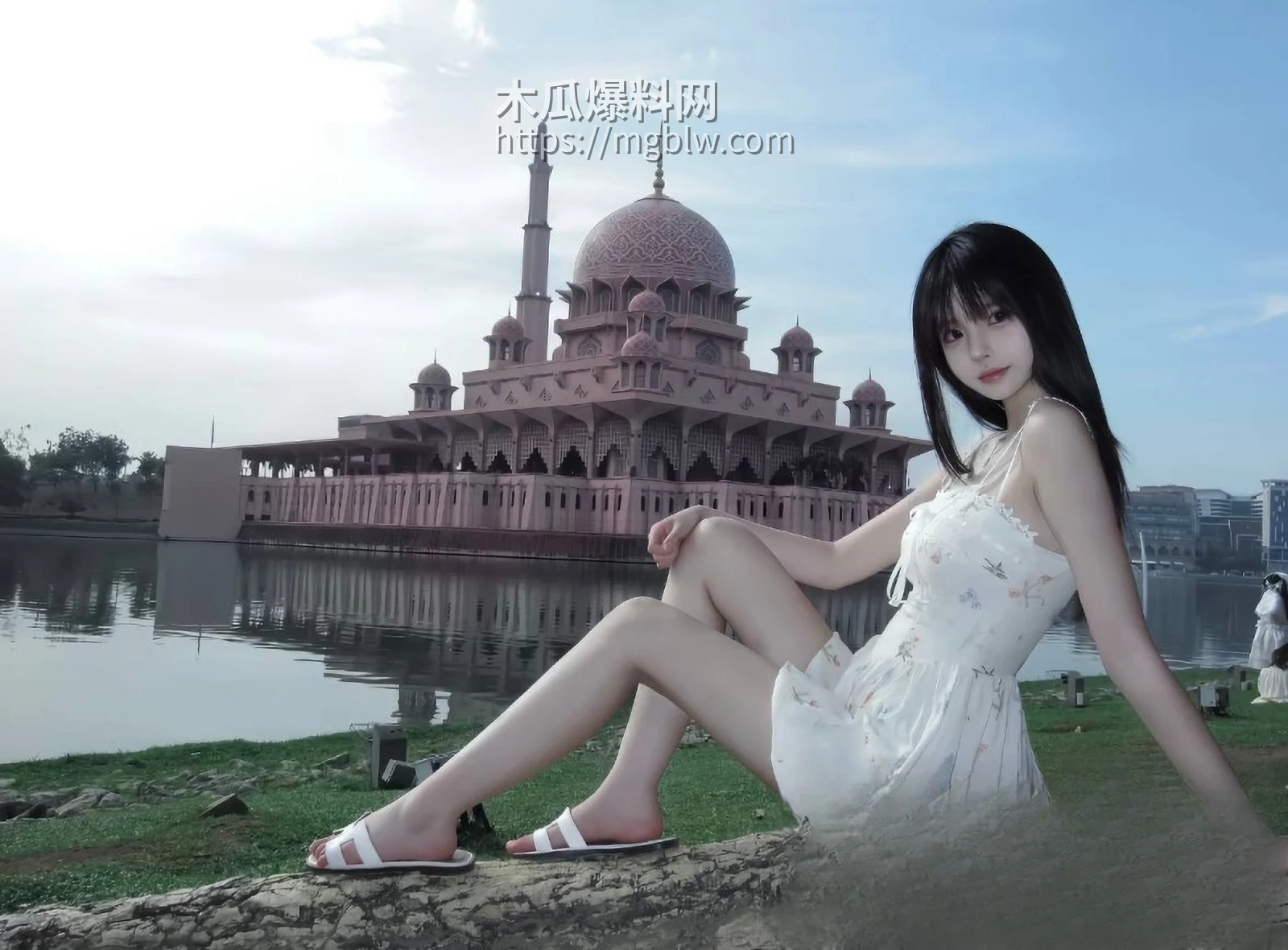 抖音网红莓猫饼6