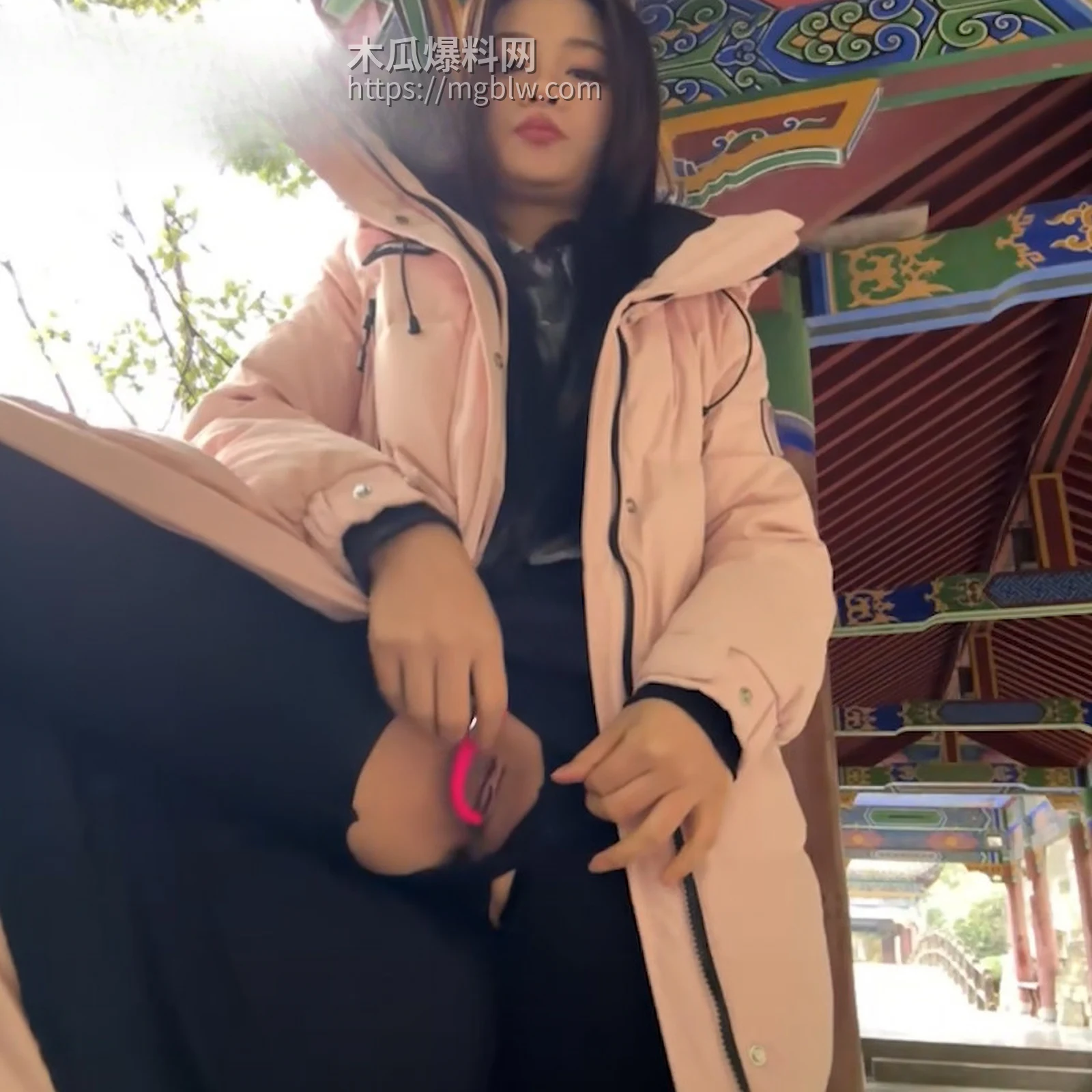 人气主播 Asia 公园露出自慰 4