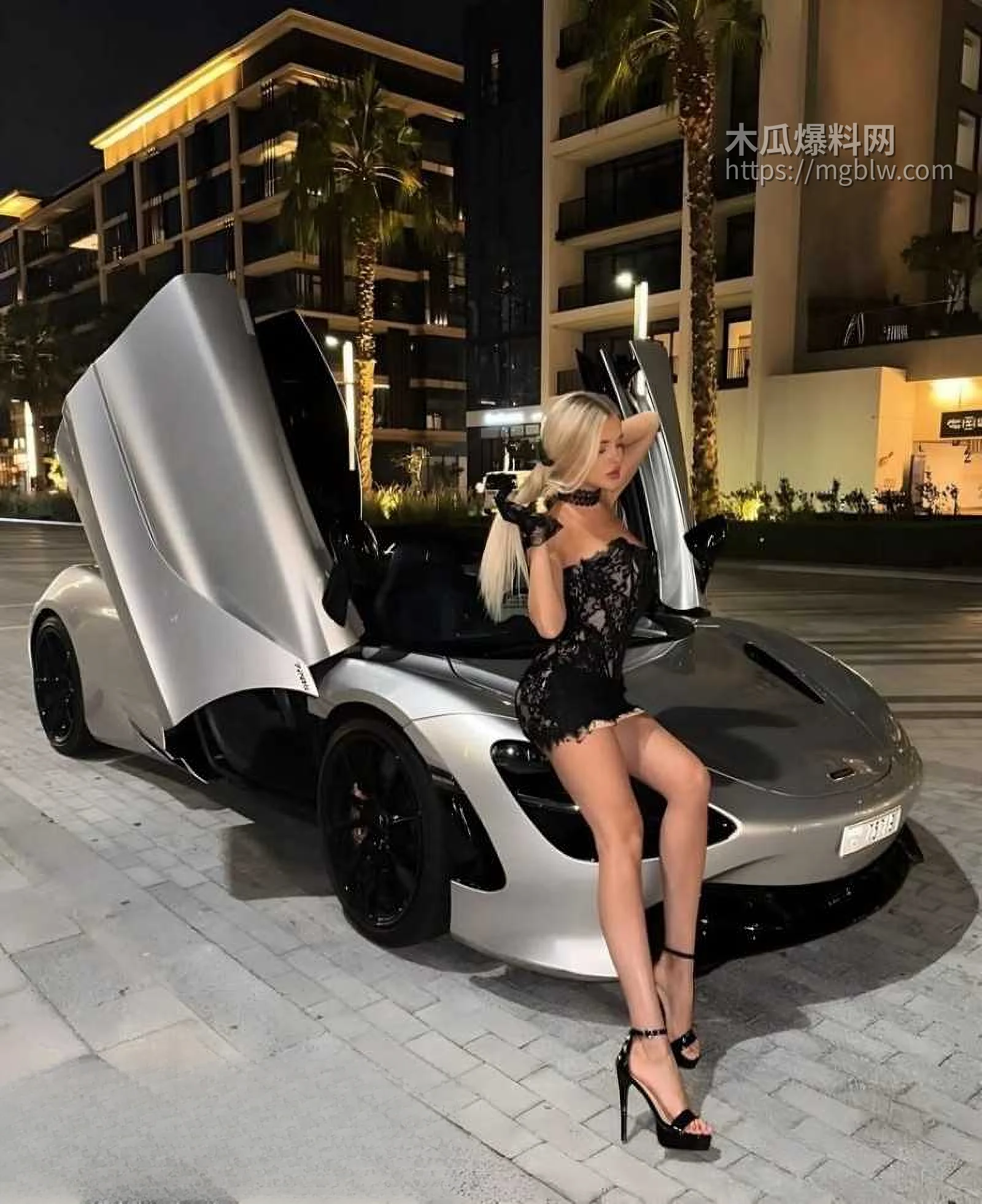 欧洲卖淫团伙丑闻030