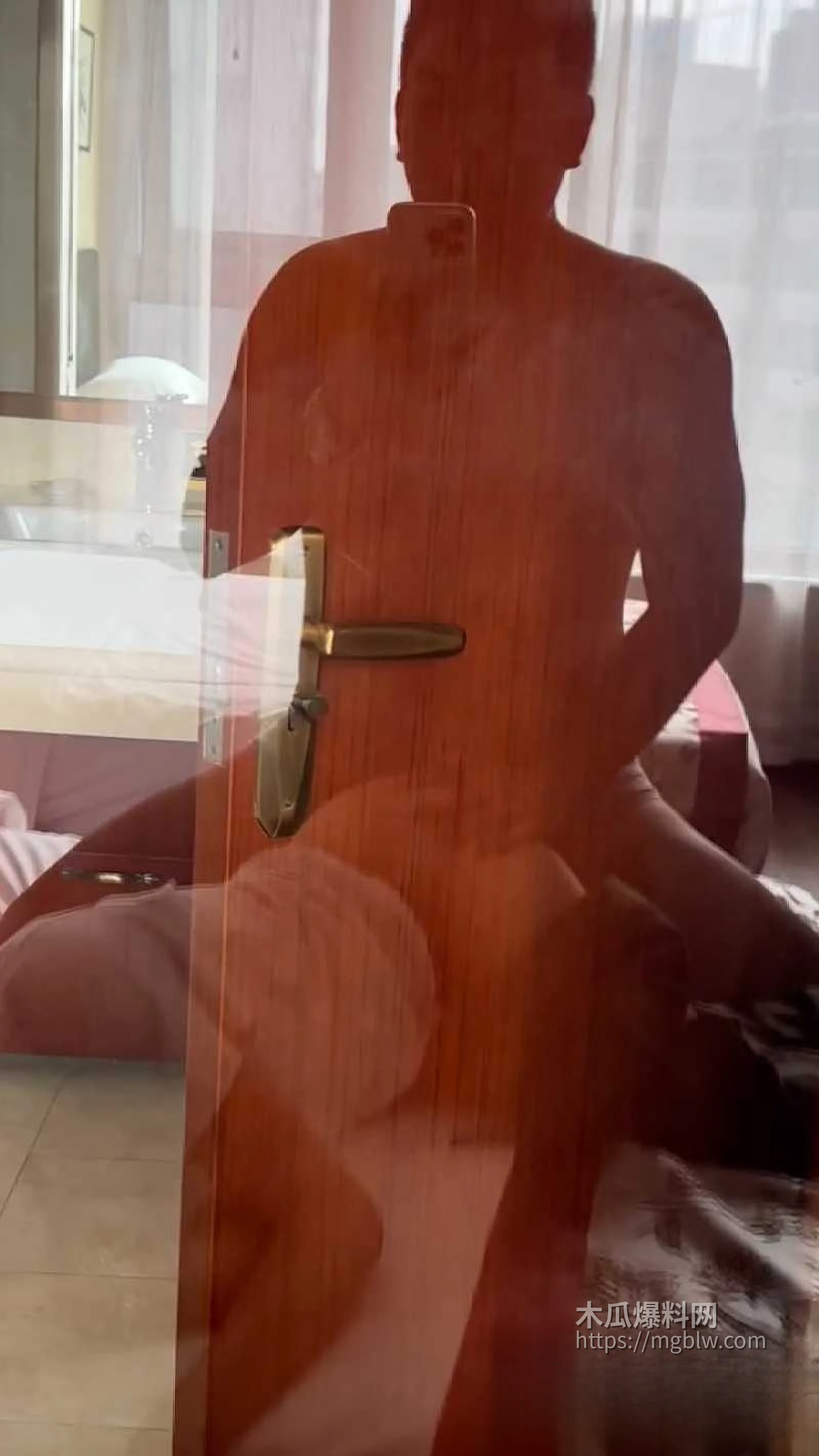 天津极品少妇 4