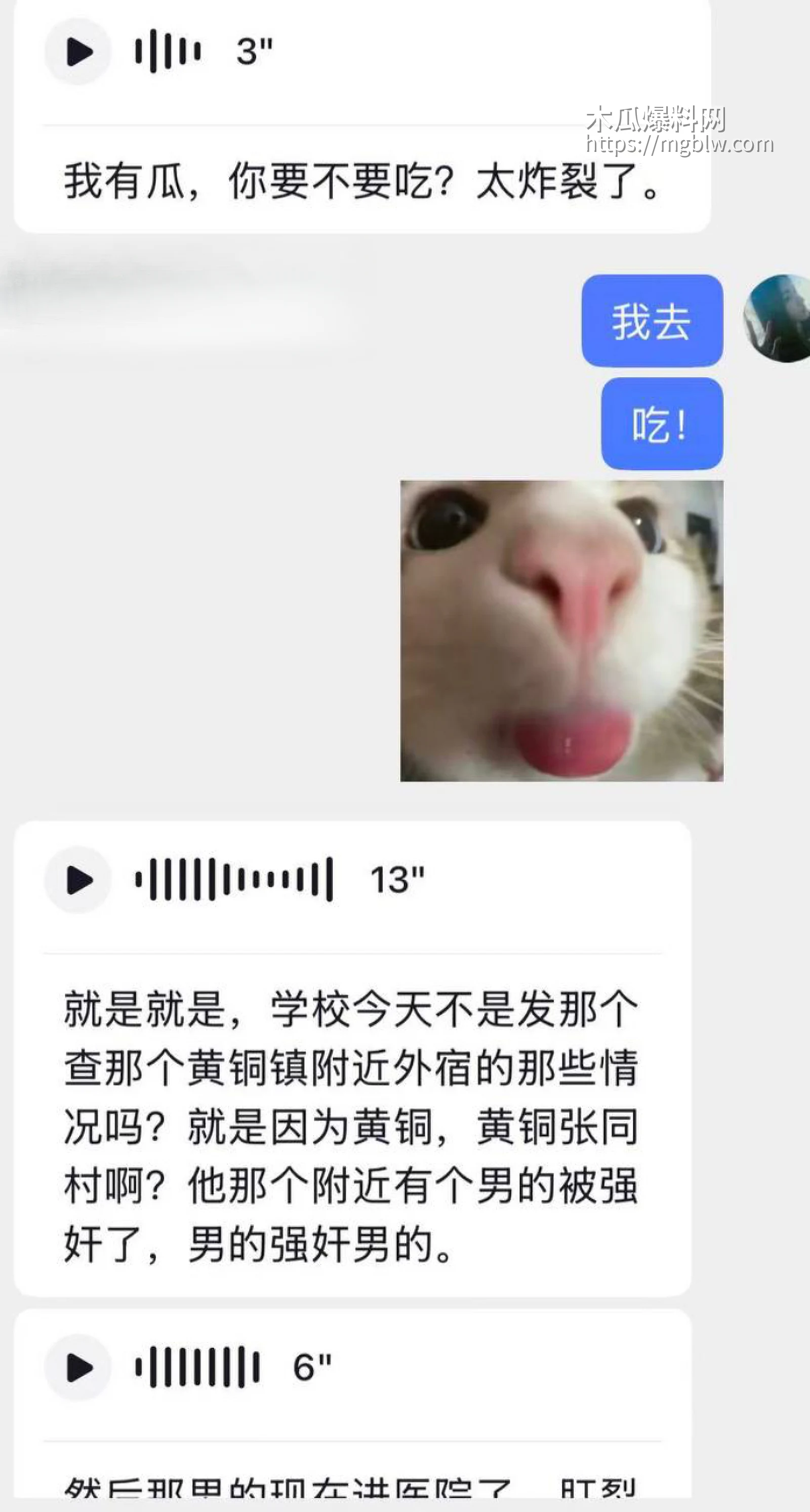 安徽师范学院 惊现变态男同 15