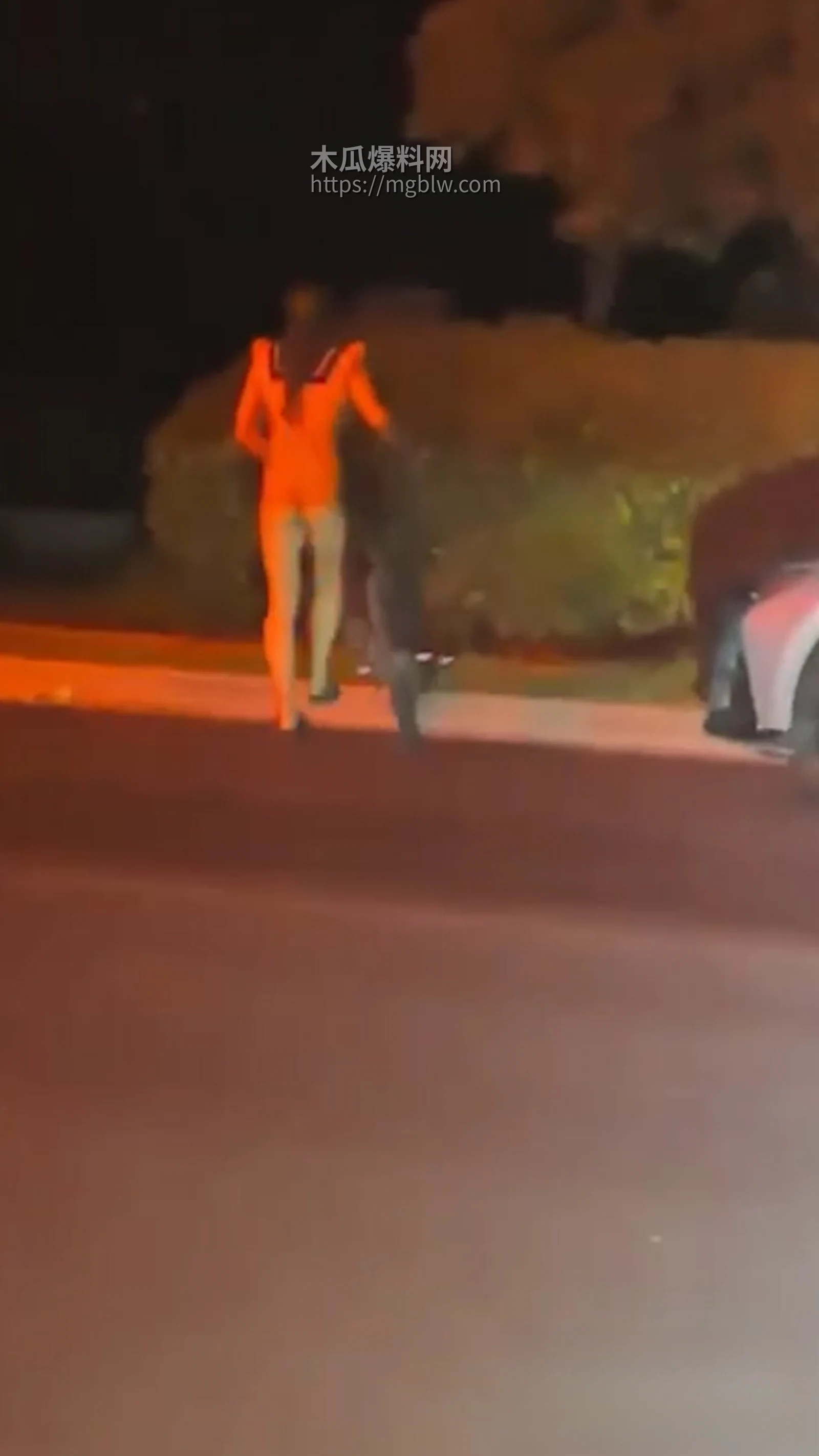 安徽师范学院 惊现变态男同 20